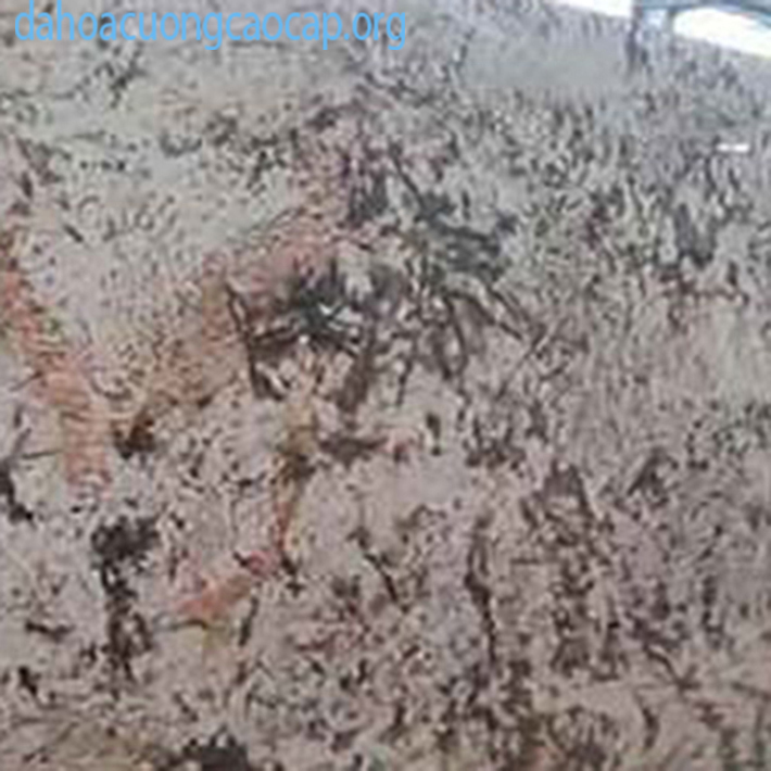 Đá granite